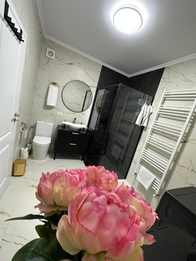 Apartament Bisera ティミショアラ エクステリア 写真
