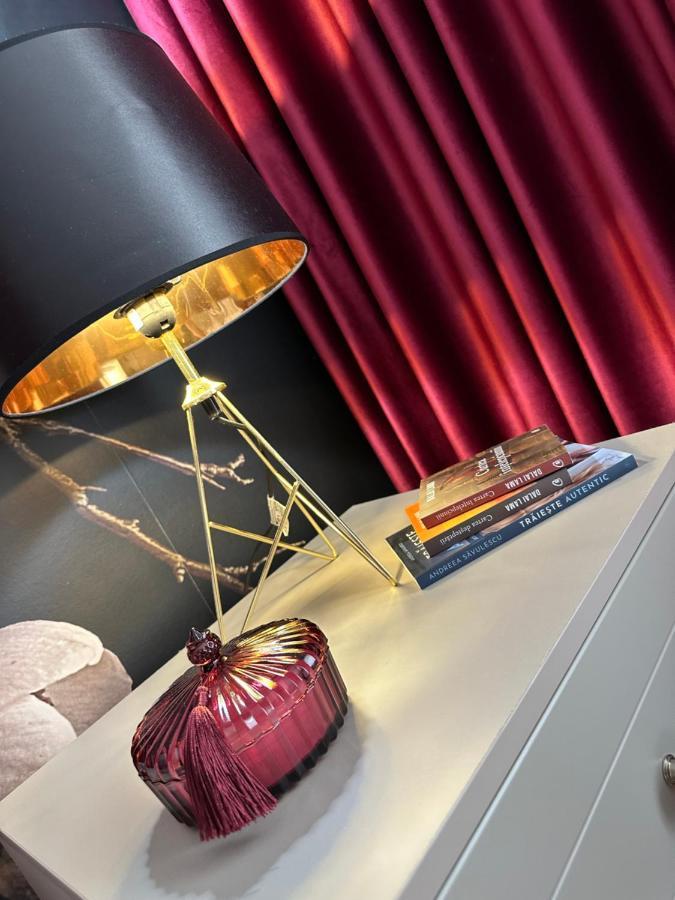 Apartament Bisera ティミショアラ エクステリア 写真